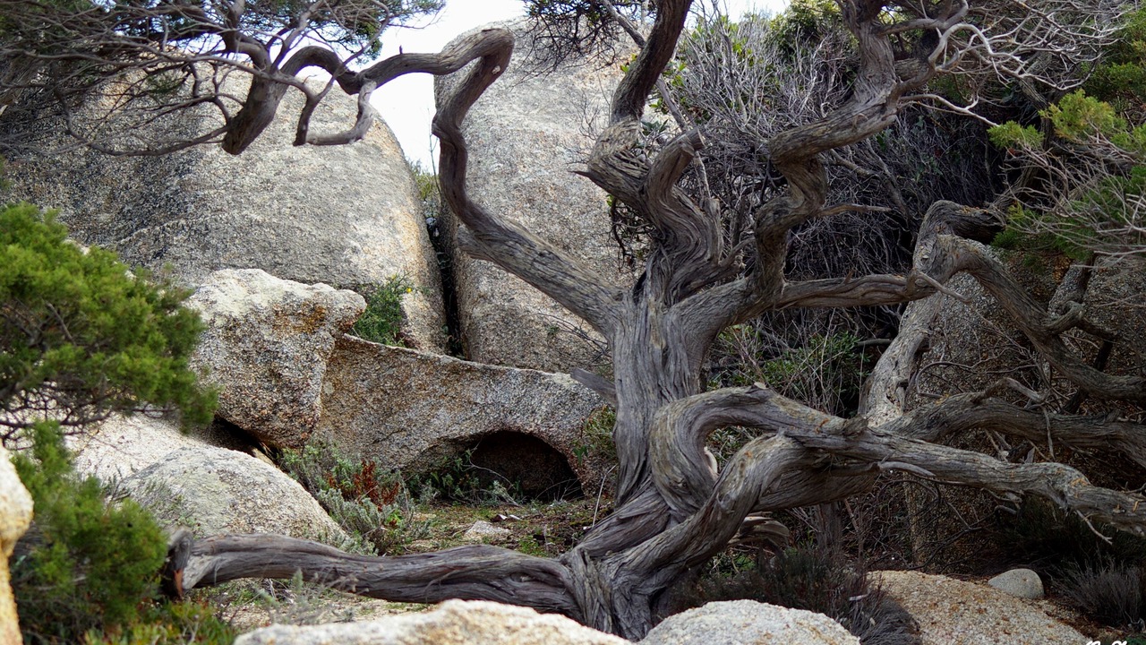 Photo of Outdoor in Sartene