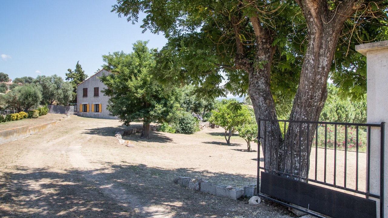 Photo of Outdoor in Serra-di-Ferro