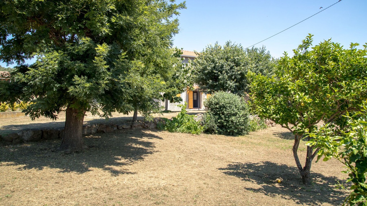 Photo of Outdoor in Serra-di-Ferro