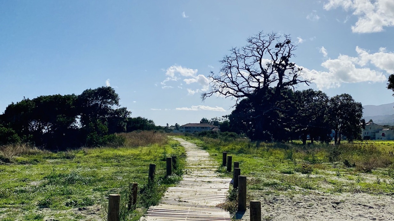 Photo of Outdoor in Moriani-Plage