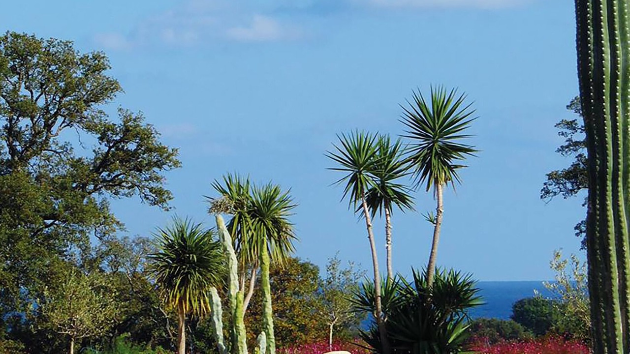 Photo of Outdoor in Bravone