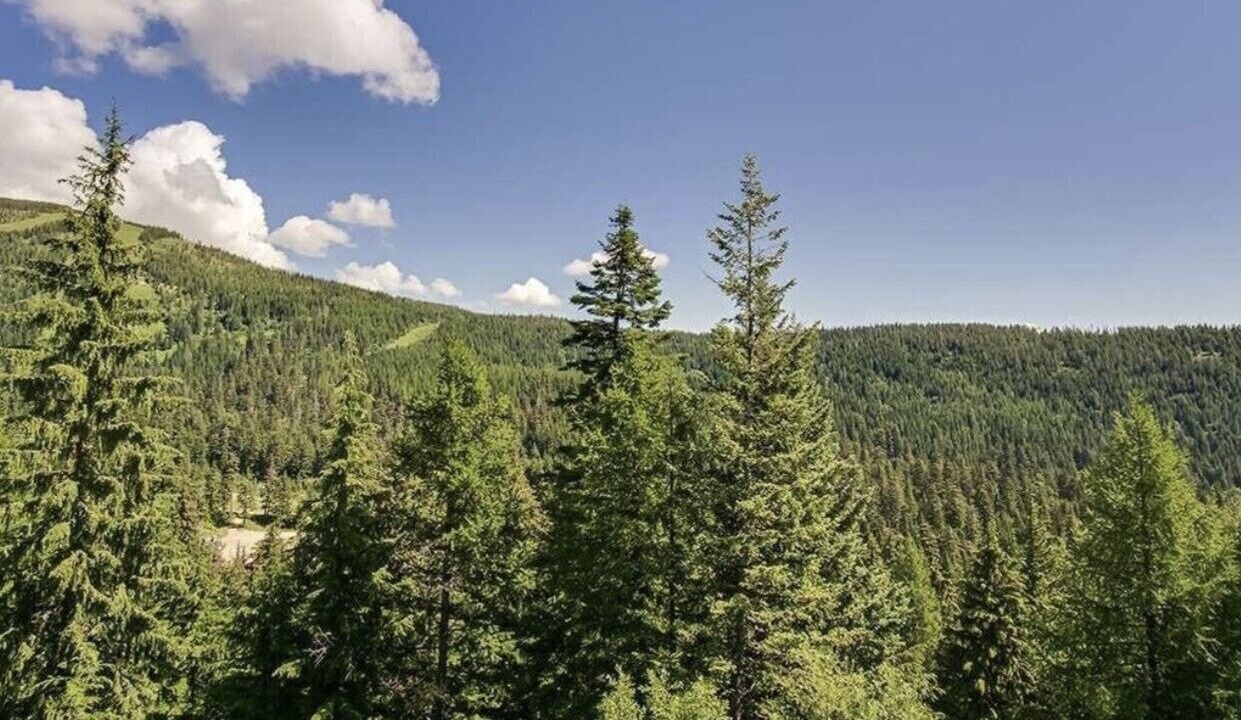 Photo of Others in Sandpoint