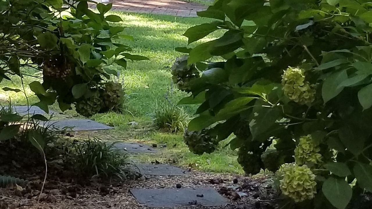 Photo of Outdoor in Reedville