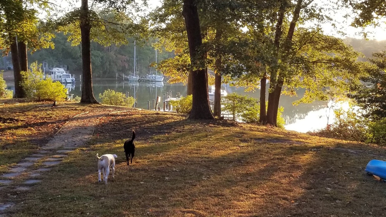 Photo of Others in Reedville