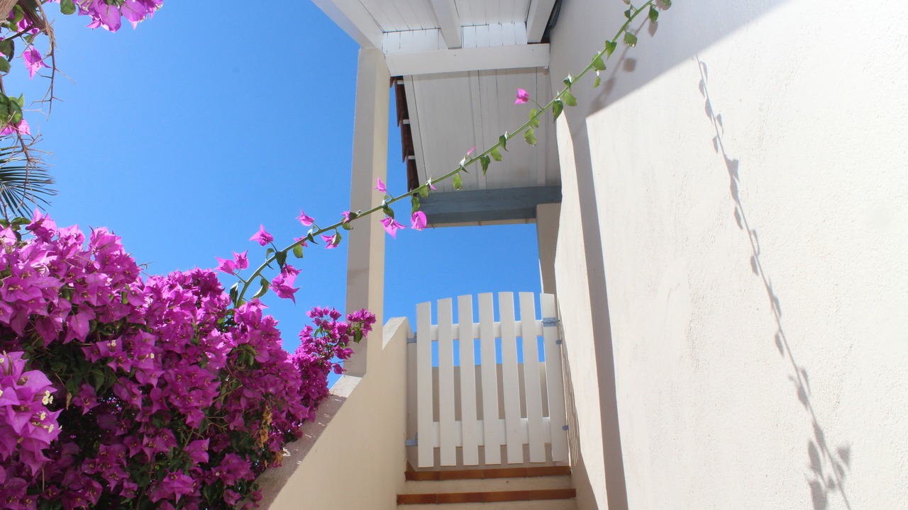 Photo of Outdoor in Pietrosella