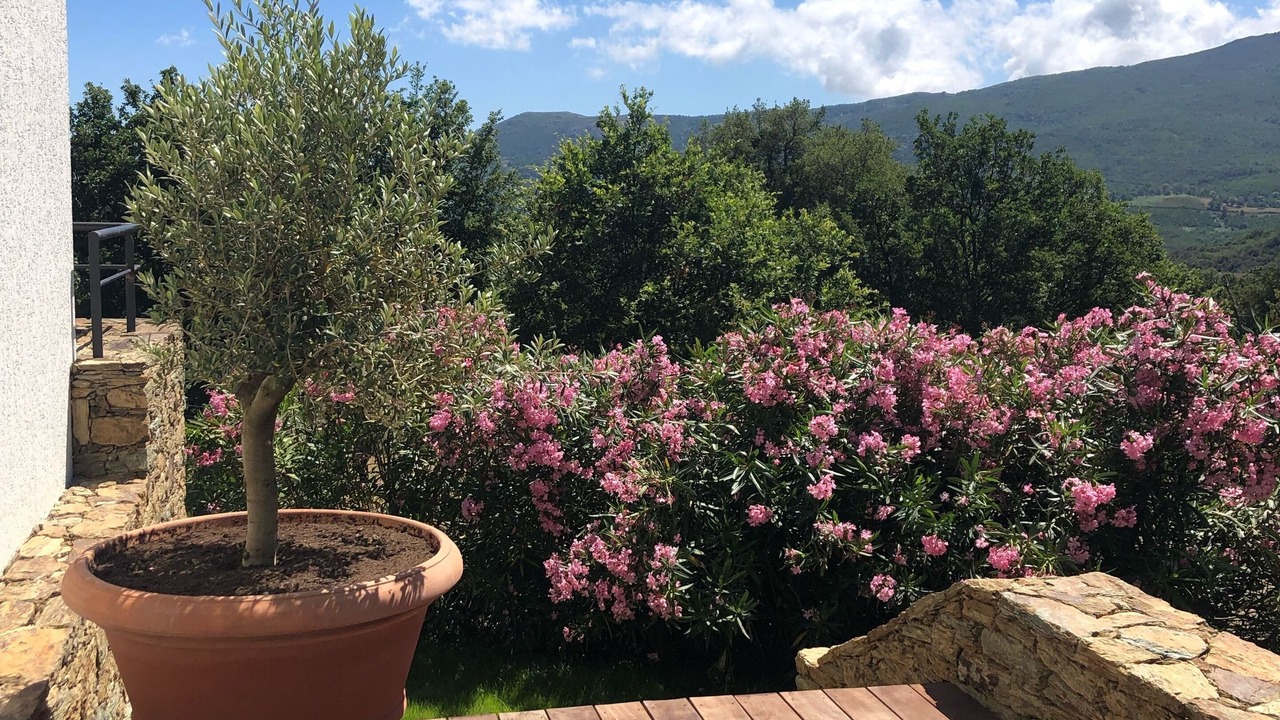 Photo of Patio Balcony in Murato