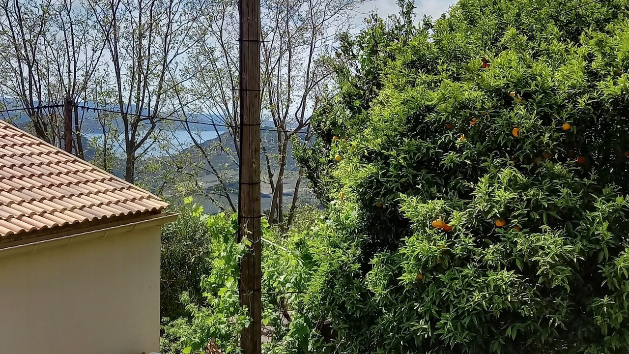 Photo of Outdoor in Barbaggio