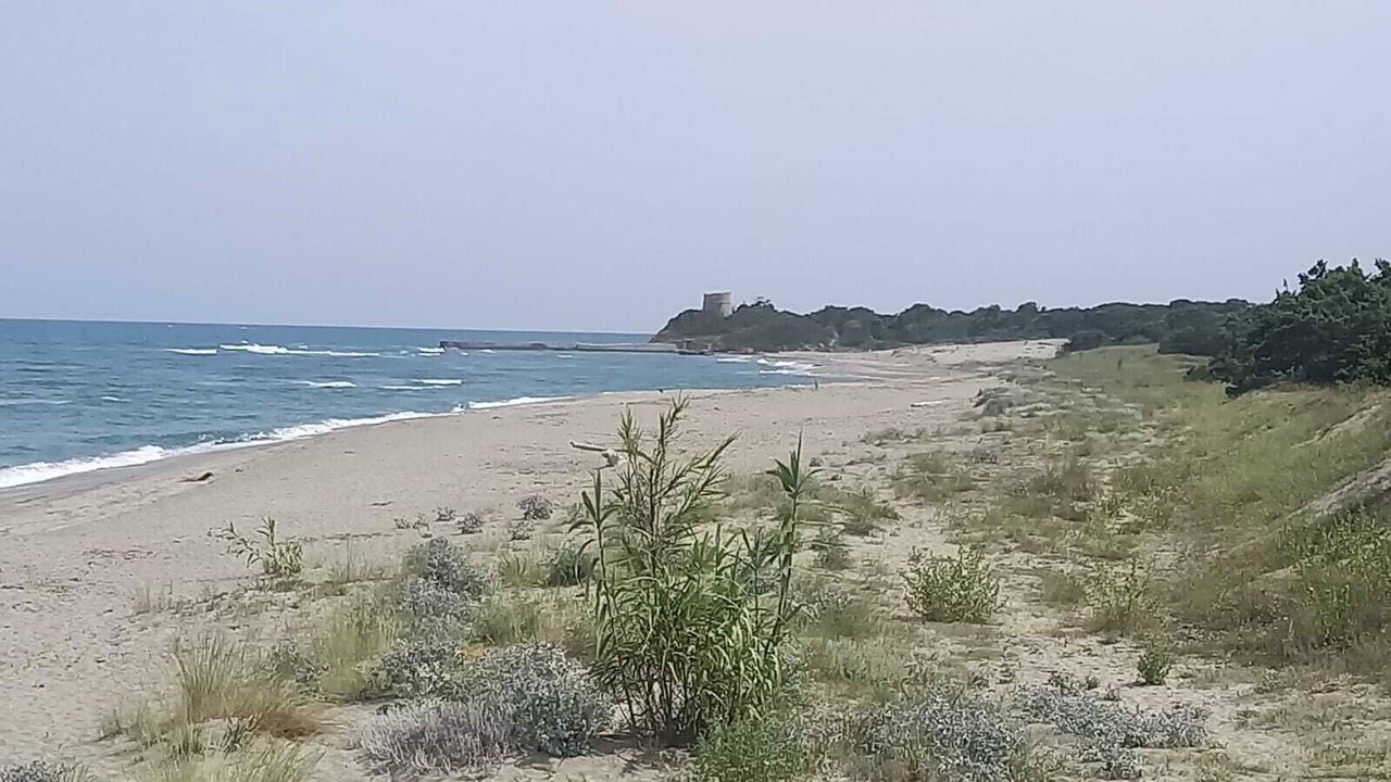 Photo of Others in San-Giovanni-di-Moriani