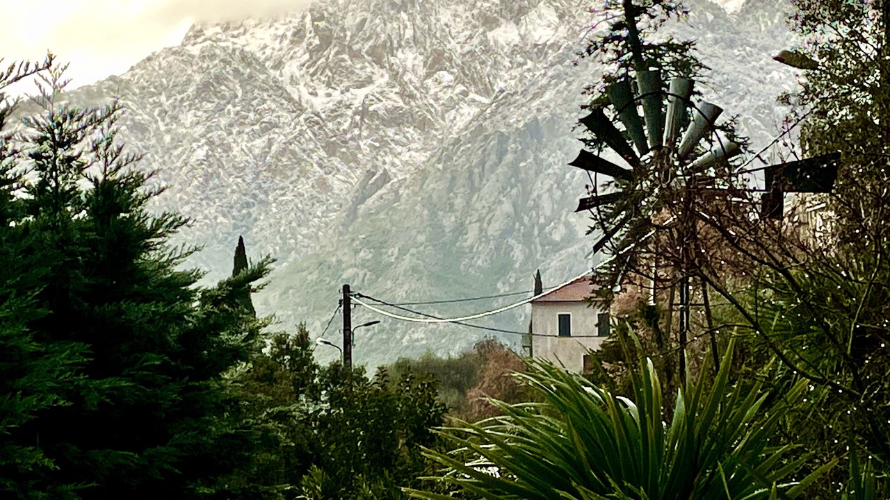 Photo of Others in Moltifao