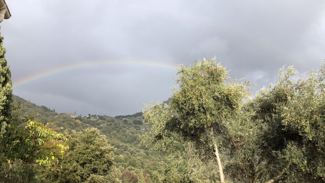 Photo of Others in Moltifao