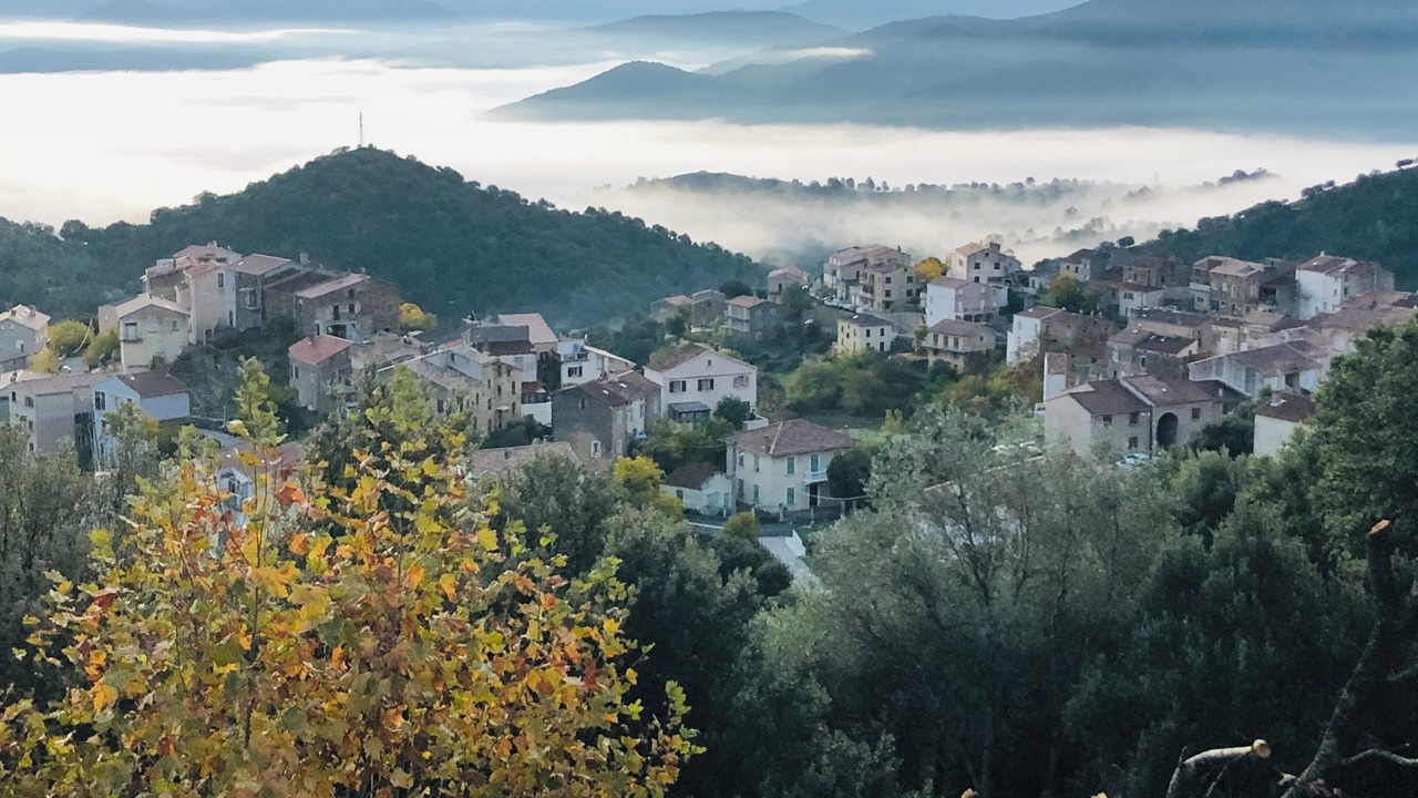 Photo of Outdoor in Moltifao