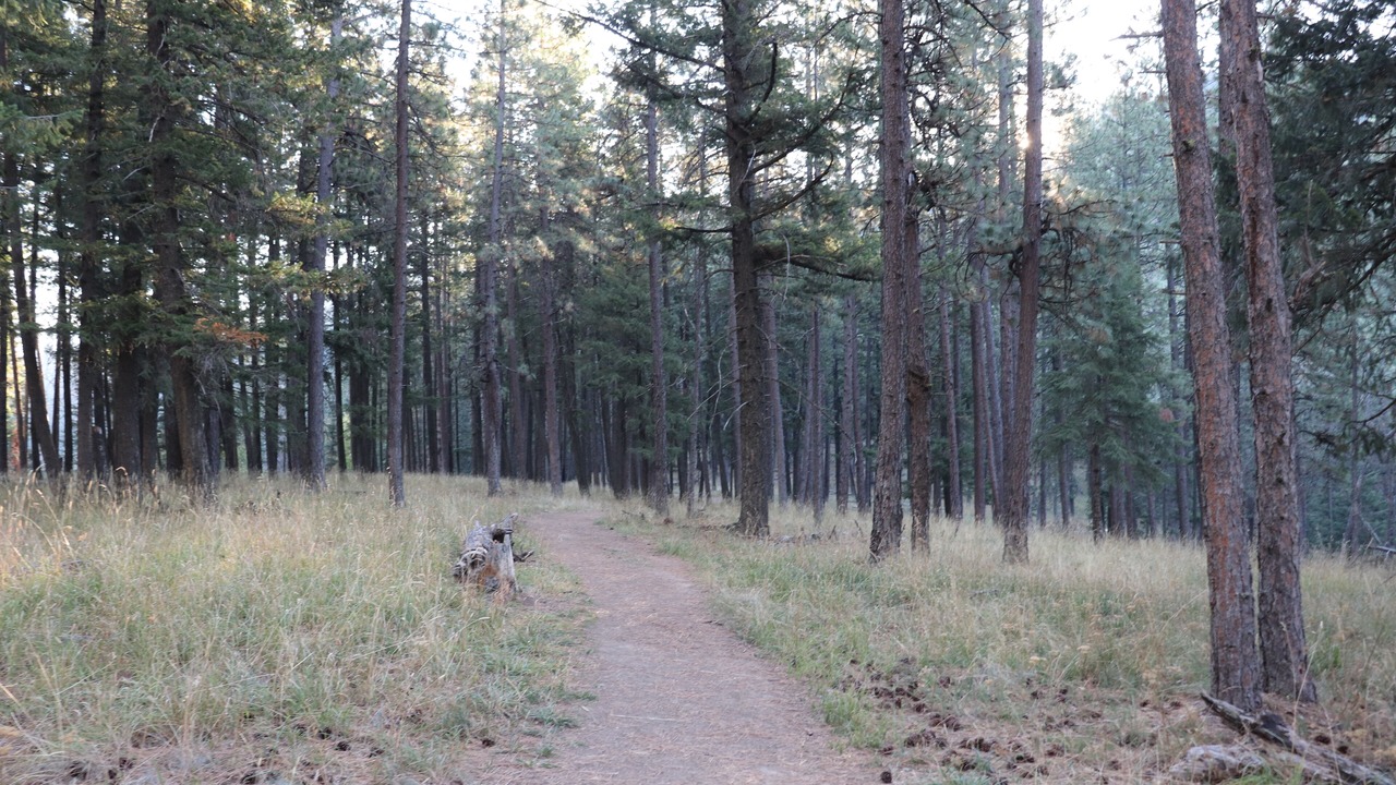 Photo of Outdoor in Hayden View Estates