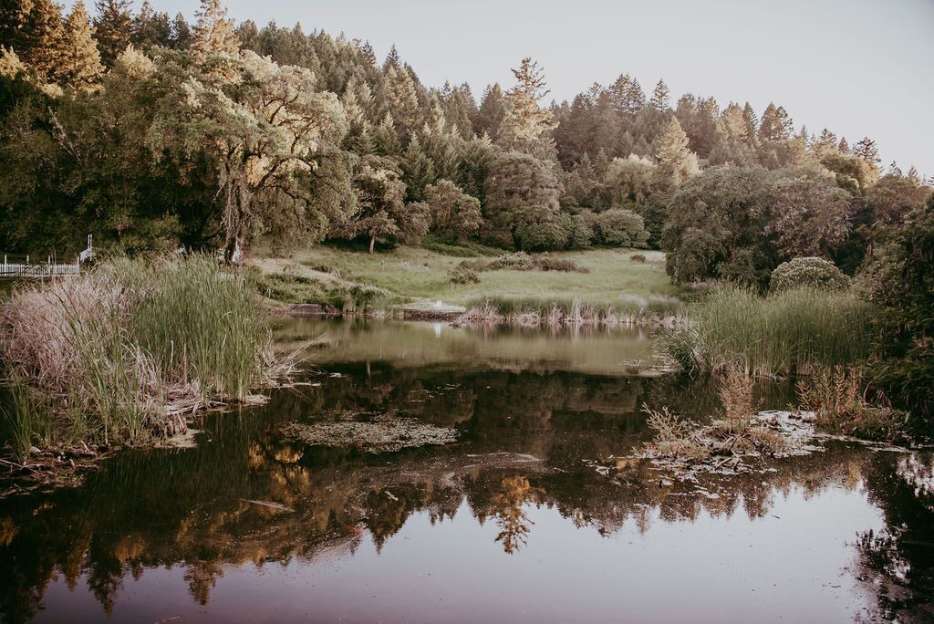 Photo of Outdoor in Cloverdale