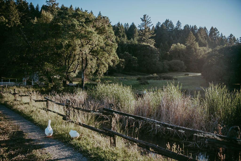 Photo of Outdoor in Cloverdale