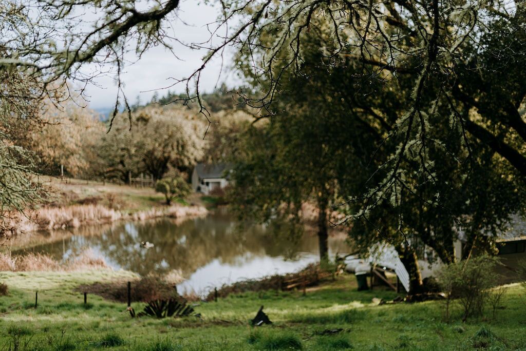 Photo of Outdoor in Cloverdale