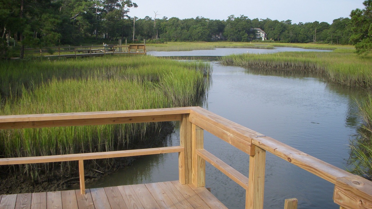 Photo of Outdoor in Wilmington