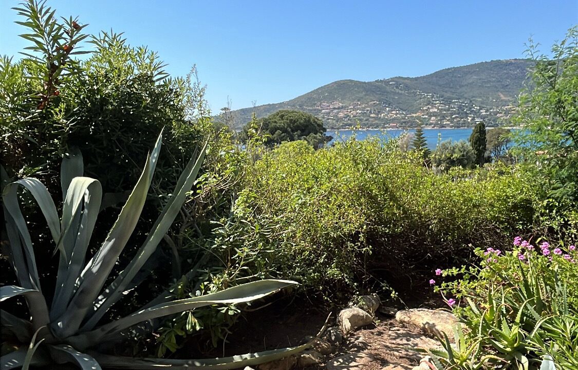 Photo of Outdoor in Sagone