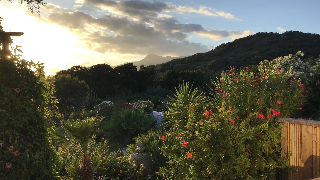 Photo of Outdoor in Figari