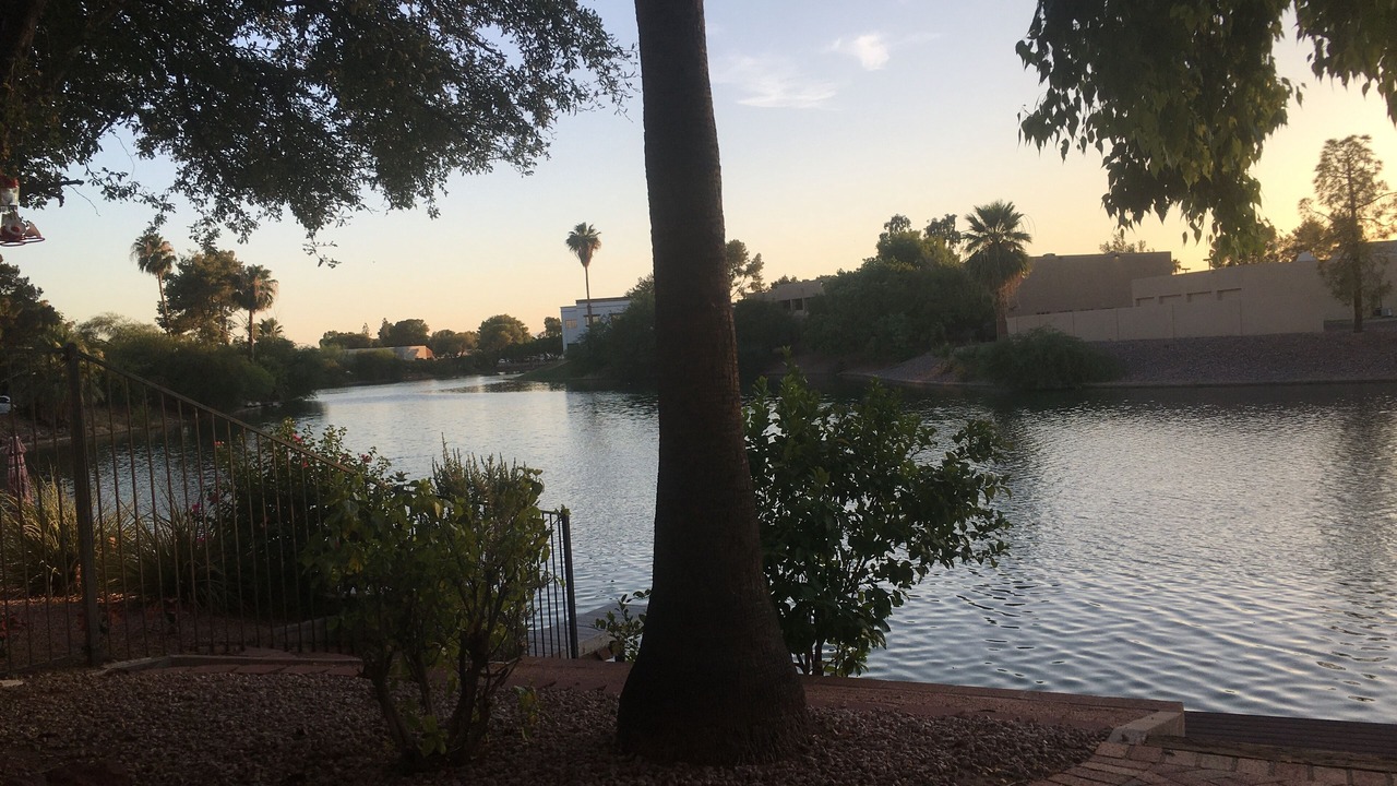 Photo of Outdoor in Dobson Ranch