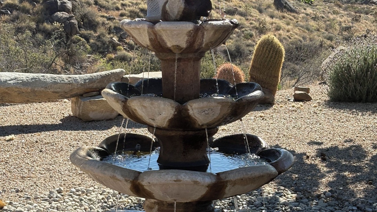 Photo of Outdoor in Kingman