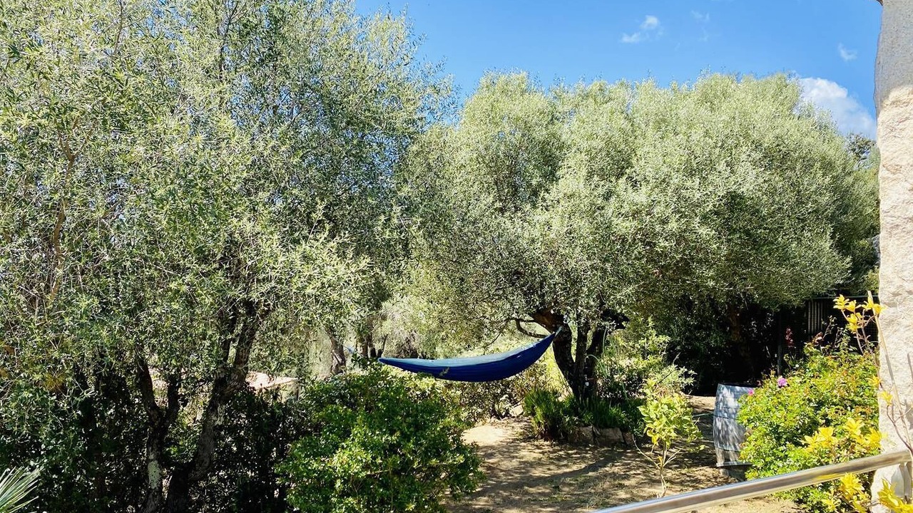 Photo of Outdoor in Olmeto