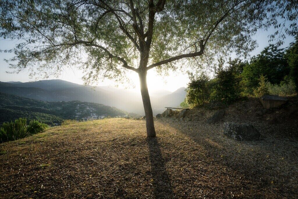 Photo of Outdoor in Vico