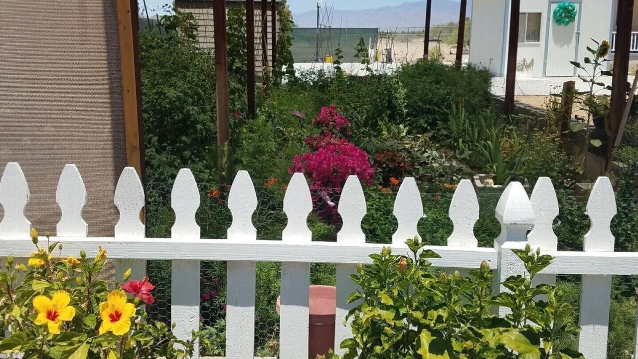 Photo of Outdoor in Pahrump