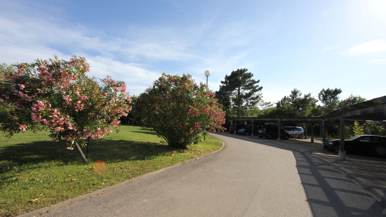 Photo of Outdoor in Porto-Vecchio
