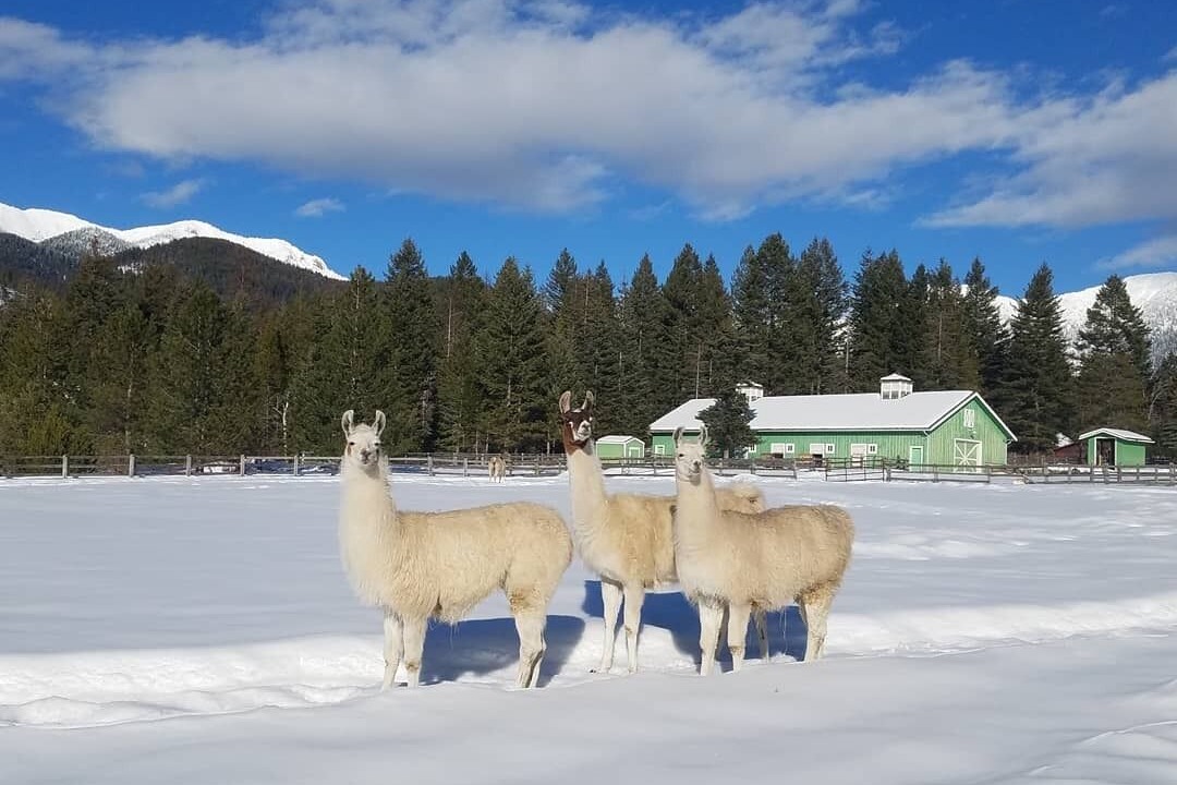 Photo of Others in Kalispell