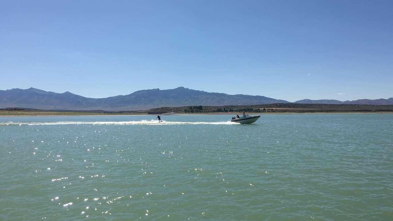 Photo of Others in Scipio