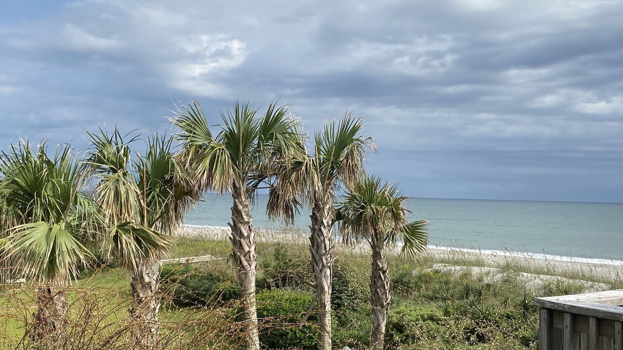 Photo of Others in Pine Knoll Shores