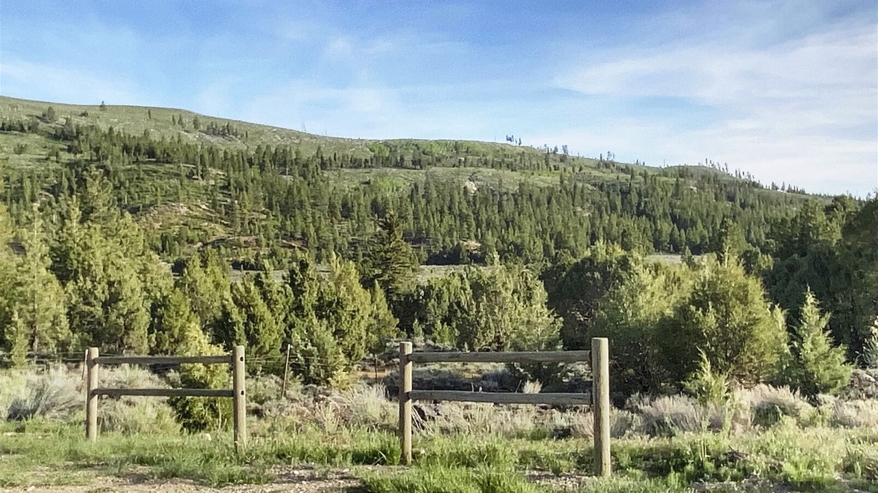Photo of Others in Mammoth Creek