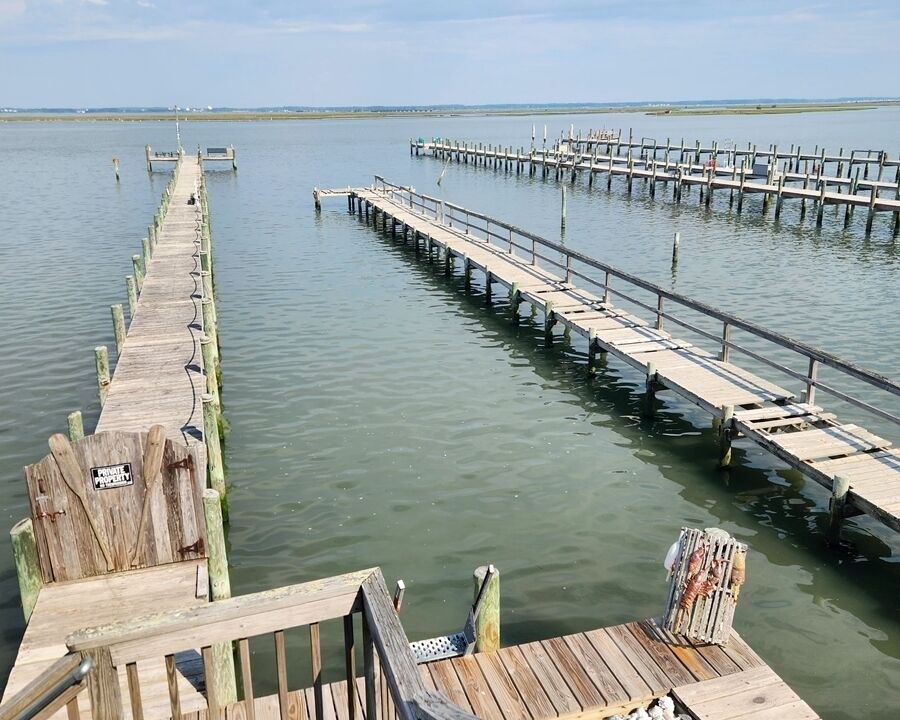 Photo of Others in Chincoteague