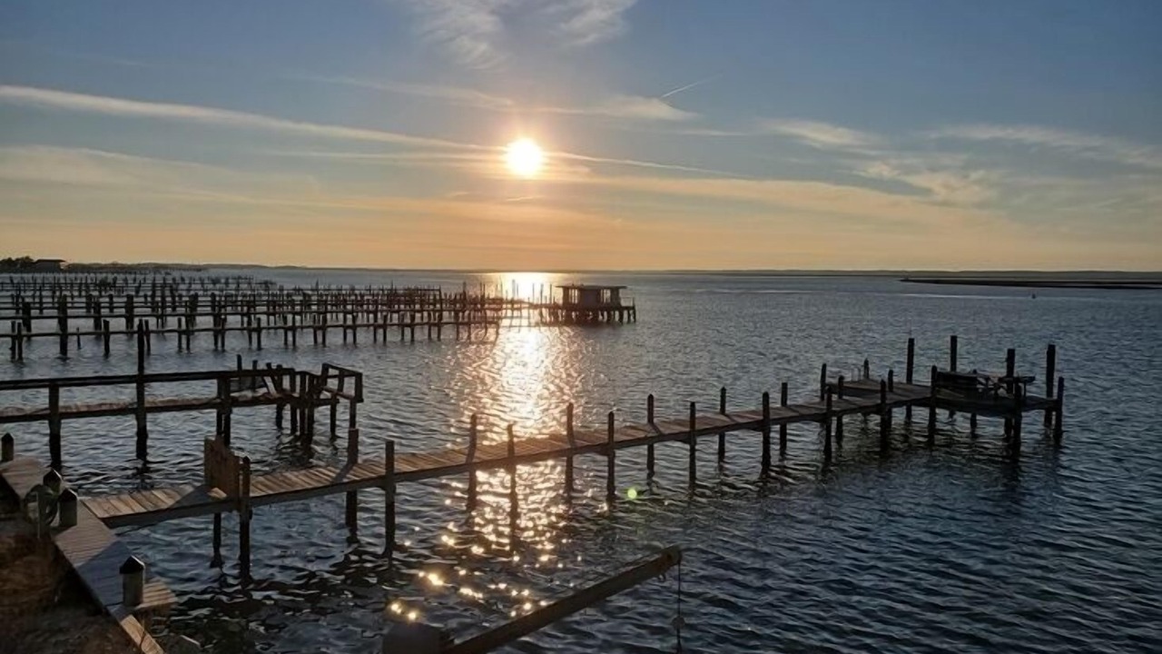 Photo of Others in Chincoteague