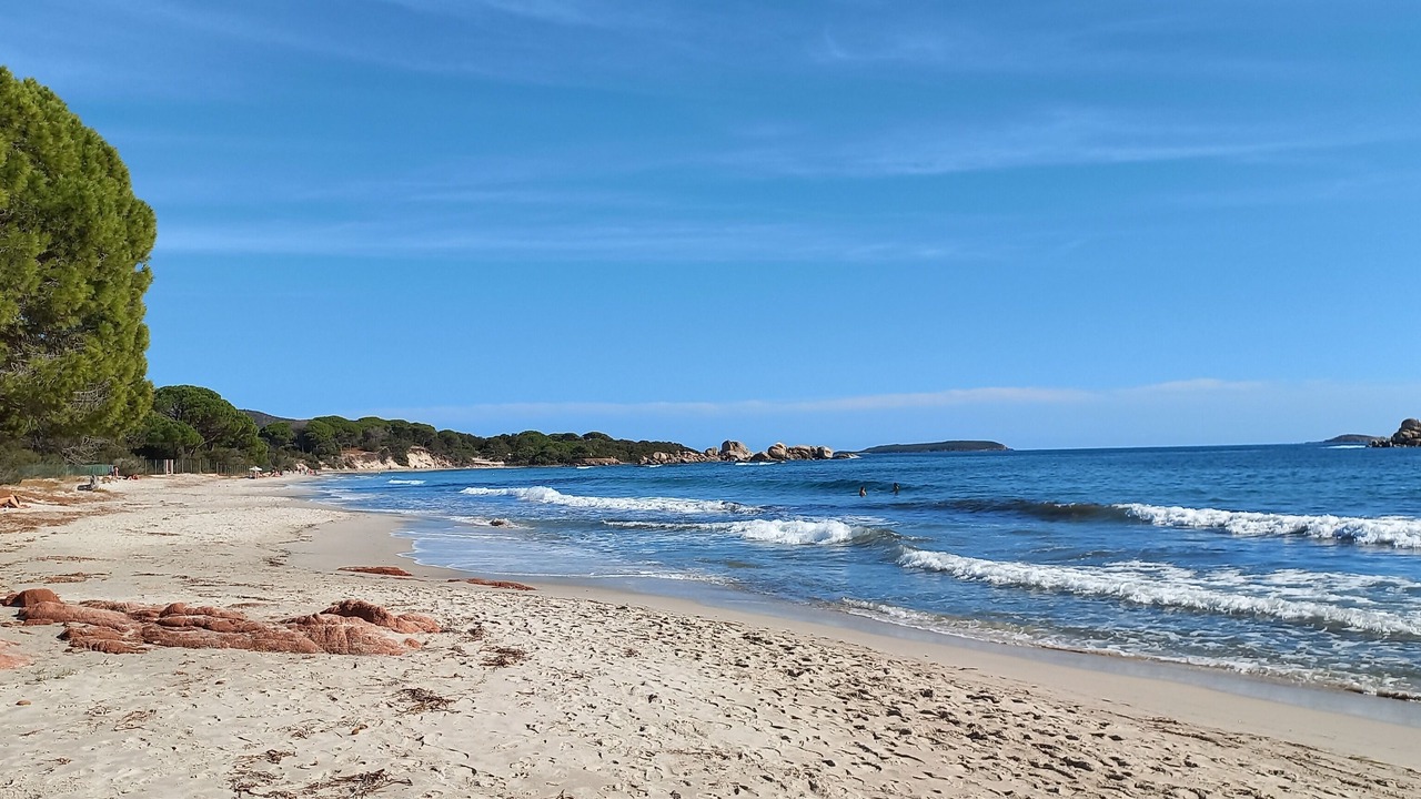 Photo of Others in Santa-Lucia-di-Moriani