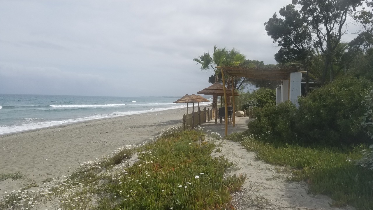 Photo of Others in Santa-Lucia-di-Moriani