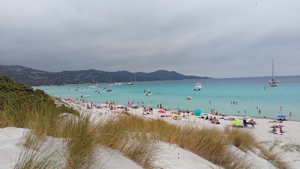 Photo of Others in Santa-Lucia-di-Moriani