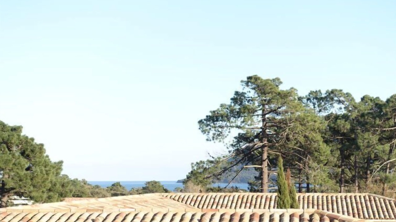 Photo of Outdoor in Porto-Vecchio
