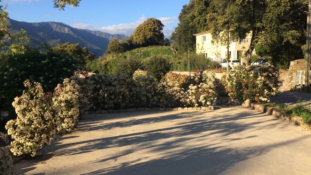Photo of Outdoor in Eccica-Suarella