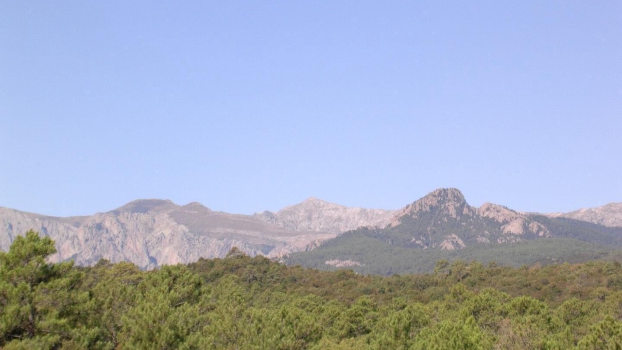 Photo of Outdoor in Solaro