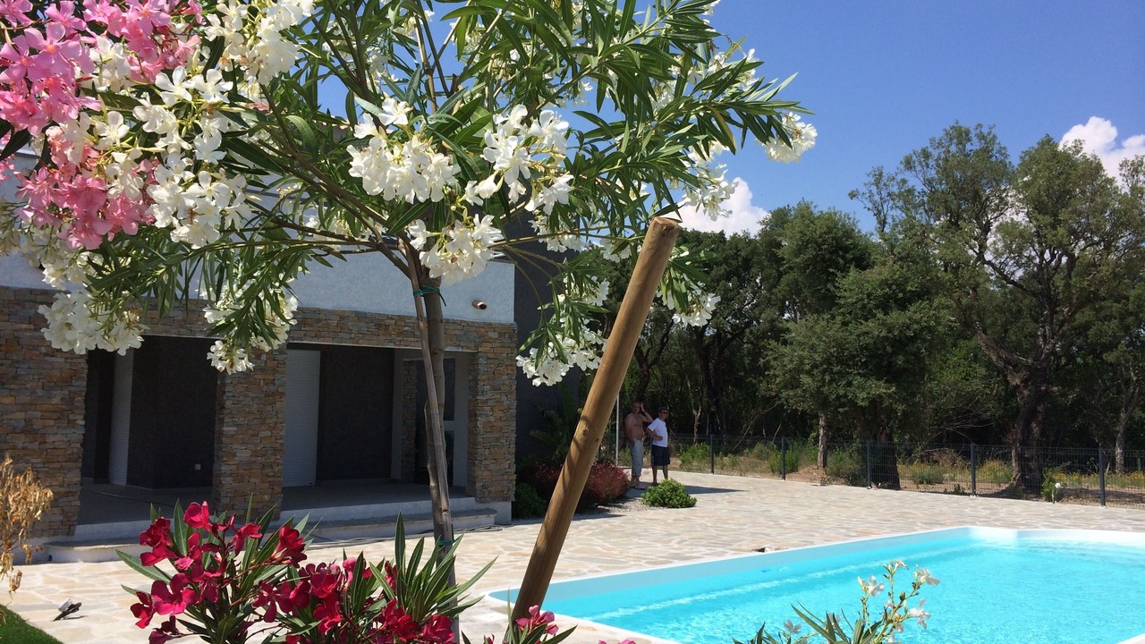 Photo of Outdoor in Ghisonaccia