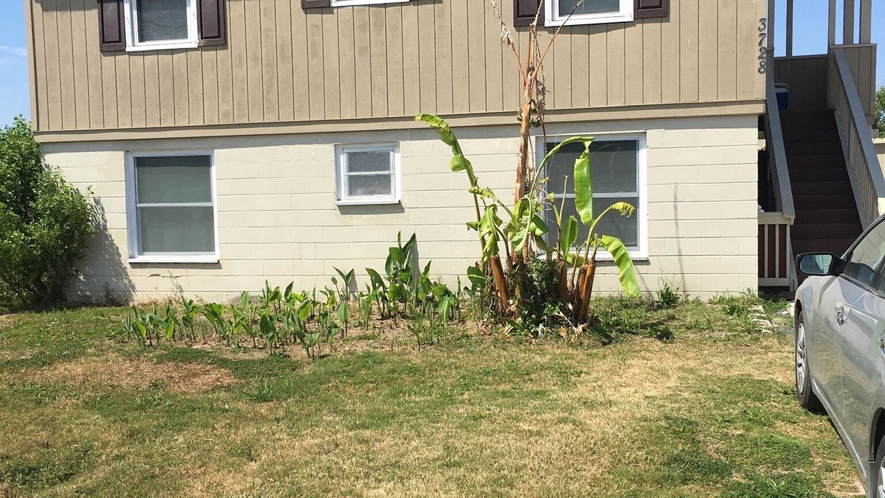 Photo of Others in Ocean Ridge
