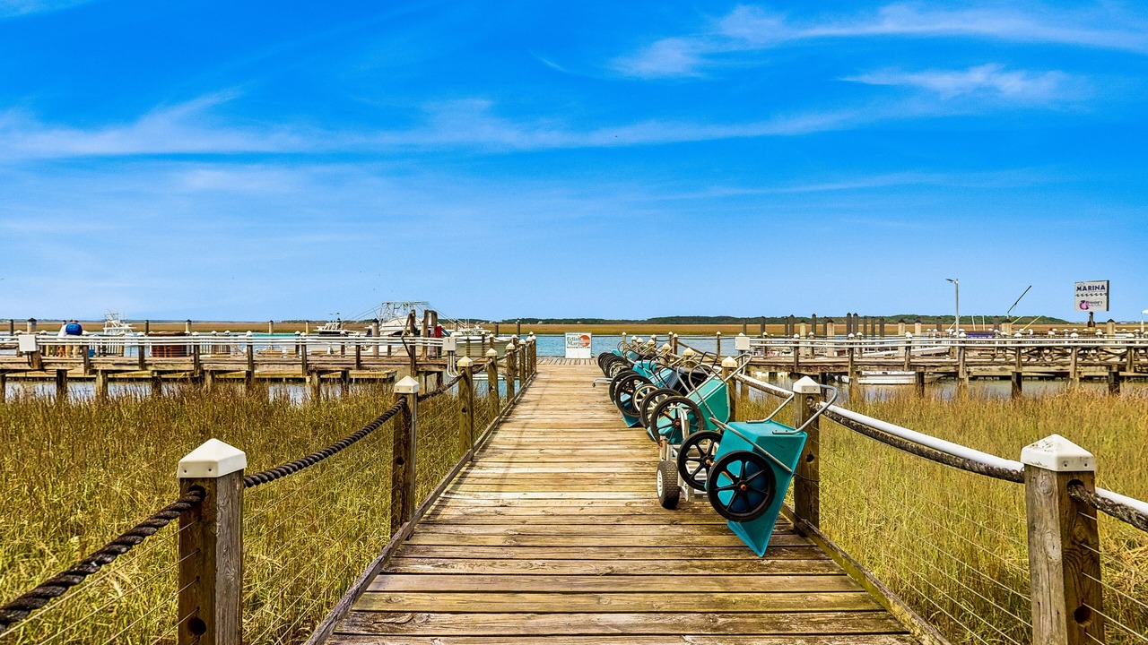 Photo of Others in Edisto Island