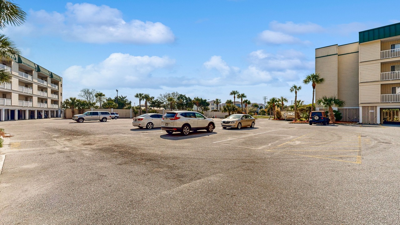 Photo of Outdoor in Edisto Island