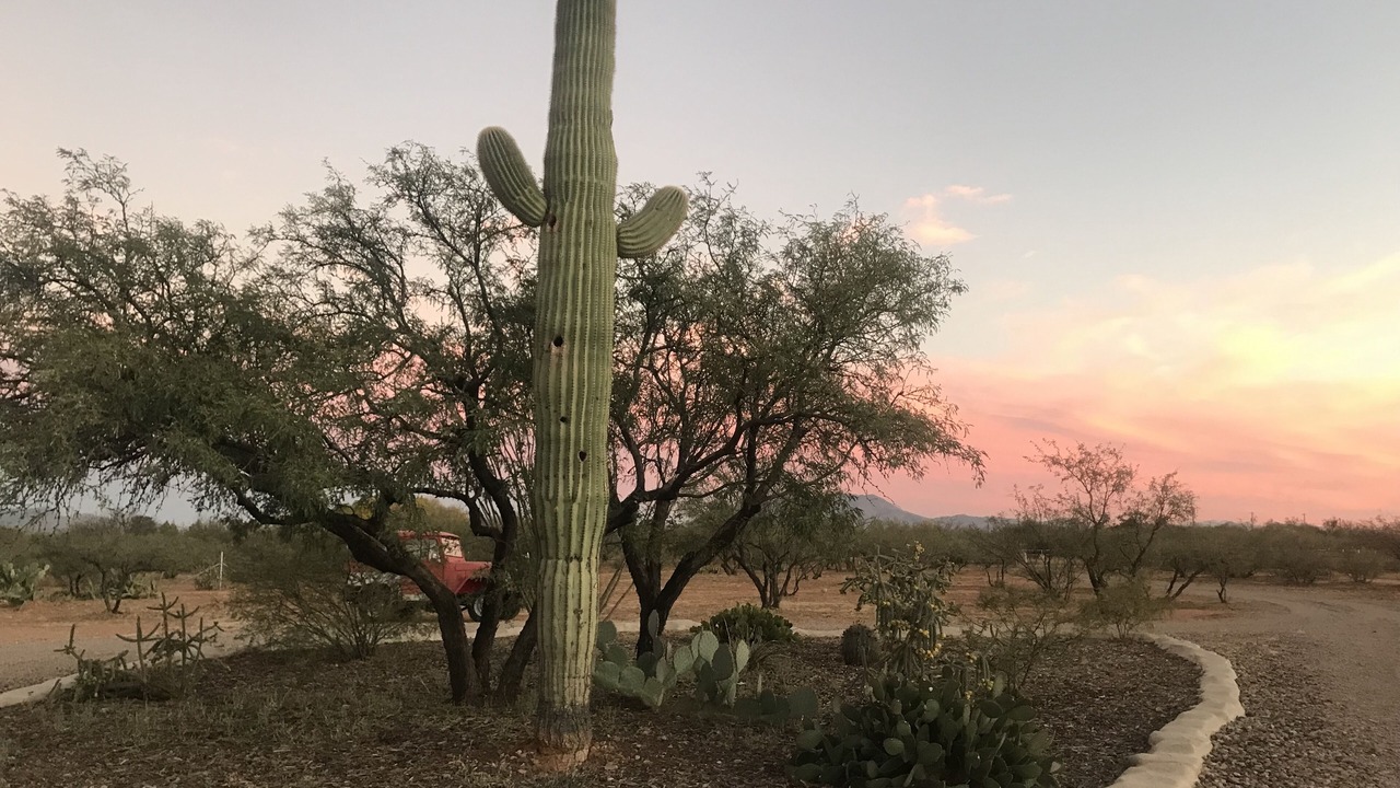 Photo of Others in Sierra Vista Southeast