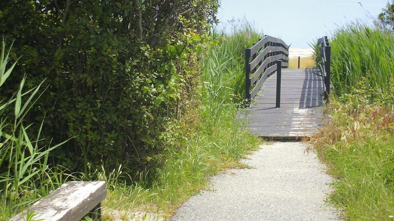 Photo of Others in Ghisonaccia