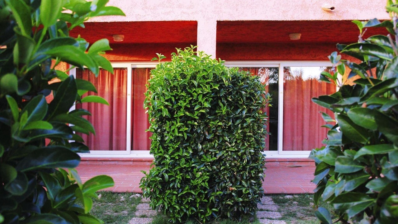 Photo of Outdoor in Ghisonaccia