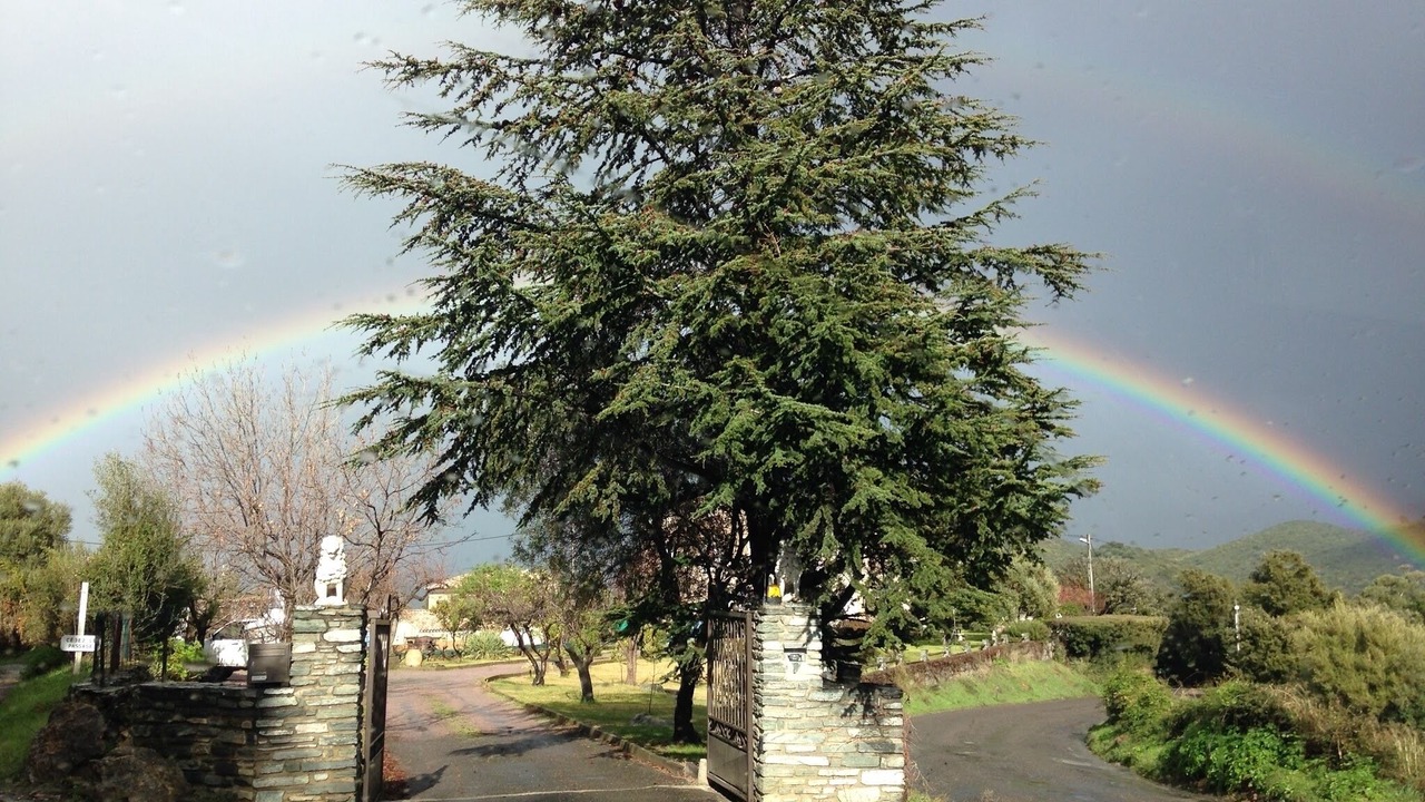Photo of Outdoor in Oletta