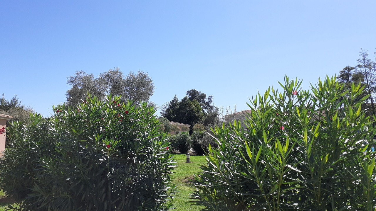 Photo of Outdoor in Santa-Maria-Poggio