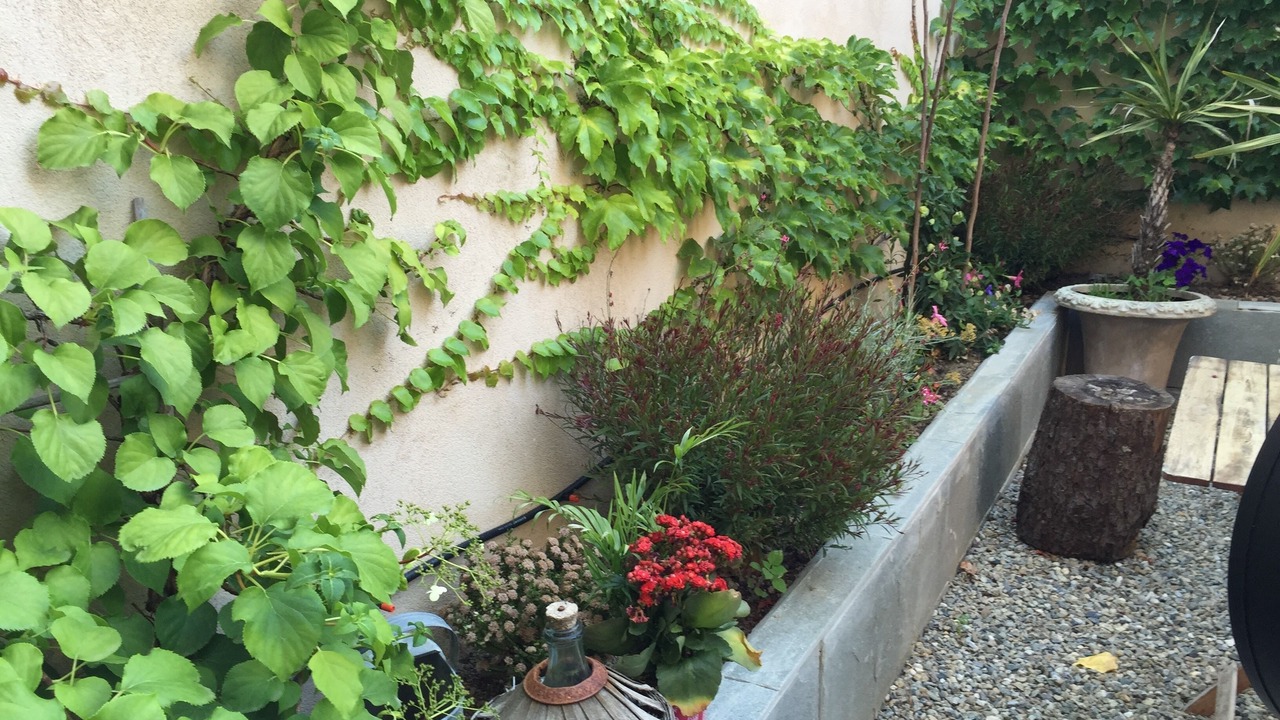 Photo of Outdoor in Corte